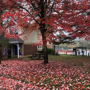 Meet your Posher, Batool